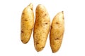 Fingerling potatoes isolated on a white background Royalty Free Stock Photo