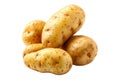 Fingerling potatoes isolated on a white background Royalty Free Stock Photo