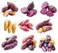 Fingerling potatoes isolated on a white background Royalty Free Stock Photo