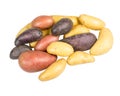 Fingerling potatoes of several colors isolated