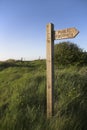 Fingerpost directional arrow Royalty Free Stock Photo