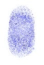 Fingerprint