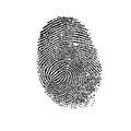 Fingerprint. Royalty Free Stock Photo