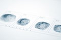 Fingerprint Royalty Free Stock Photo