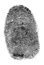 Fingerprint Royalty Free Stock Photo