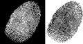 Fingerprint