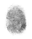 Fingerprint Royalty Free Stock Photo