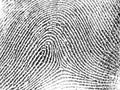 Fingerprint