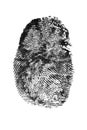 Fingerprint