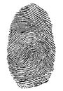 Fingerprint