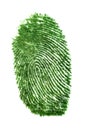 Fingerprint of grass