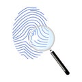 Fingerprint isolated on white background. Investigation crime. Security access concept