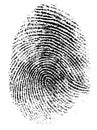 Fingerprint vector illustration Royalty Free Stock Photo