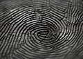 Uniqueness of Fingerprint Patterns in Forensic Science. Close up. Generative AI