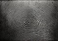 Uniqueness of Fingerprint Patterns in Forensic Science. Close up. Generative AI