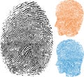 Fingerprint. Personal identity face in three versions