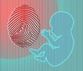 A fingerprint is seen with a human fetus in a 3-d illustration about if or when does a fetus become a human being