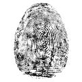 Fingerprint, silhouette vector. Dactylogram isolated on white background.