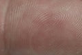 A fingerprint is a trace left by the dermatoglyphics of the last phalanx of the fingers