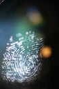Fingerprint on a transparent surface