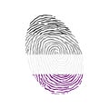 Fingerprint vector colored with the Asexual pride flag isolated on white background Vector Illustration