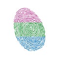 Fingerprint vector colored with the Polysexual pride flag isolated on white background Vector Illustration
