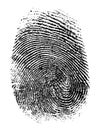 Fingerprint vector illustration Royalty Free Stock Photo