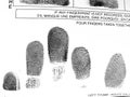 Fingerprints