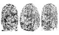 Fingerprints, biometric data. Set. Vector illustration Royalty Free Stock Photo