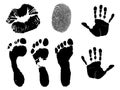 Fingerprints and Footprints