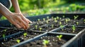 Fingers adorned with the wisdom of years, the elderly man brings life to his garden, sowing the seeds of a fruitful