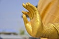 Fingers of Bhudda image