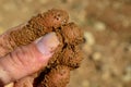 Fingers feeling brown soil