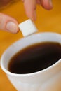 Fingers hold a lump sugar piece over cup of tea Royalty Free Stock Photo