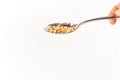 spoon with seed, space for copy, concept of earth day