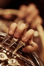 The fingers of the musician playing the French horn Royalty Free Stock Photo