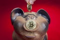 Human fingers lowers bitcoin coin into piggy bank slot.