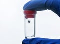 Fingers in rubber medical gloves holding a plastic transparent jar flask with dangerous insects mites removed from the animal for