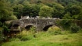 Fingle Bridge, Dartmoor Devon England