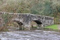 Fingle Bridge over the River Teign, Devon Royalty Free Stock Photo