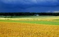 Finish farmland no.2 Royalty Free Stock Photo