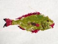 Finished first print of green colored Orata fish