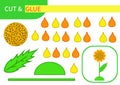 Mini-game `cut and glue` for learning, education and entertainment of children. Series `Flowers and plants` easy to print A4 and r