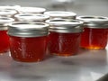 Finished red pepper jelly canning preserving filled jars in sunshine Royalty Free Stock Photo