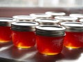 Finished red pepper jelly canning preserving filled jars in sunshine Royalty Free Stock Photo