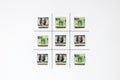 Finished standoff game of tic-tac-toe from dollar and euro banknotes Royalty Free Stock Photo