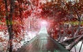 Finishes or Goals Line Concept. Lights at The End of Perspective Hanging Wooden Bridge with Various Type of Fantasy Red Trees