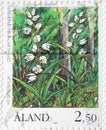 Finland - CIRCA 1989: a postage stamp printed in Finland showing a drawing of white Morina longifolia - elf thistle, steppe thistl Royalty Free Stock Photo