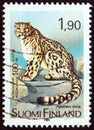 FINLAND - CIRCA 1989: A stamp printed in Finland shows Snow Leopard Panthera uncia, circa 1989.