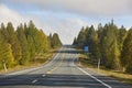 Finland empty road surrounded by birch tree forest. Landscape